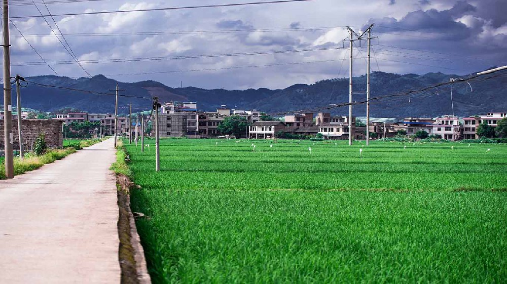 内蒙古乡村沃畉农业服务购入天启量子土壤检测仪器